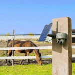 Reolink Go Series G450 with Solar Panel 2